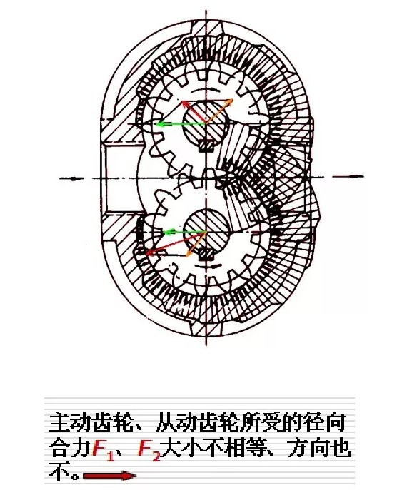 齿轮泵